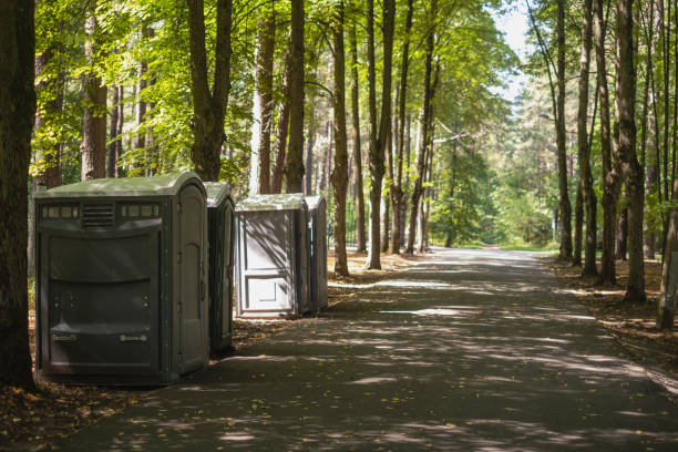 Best Luxury portable toilet rental  in Painesville, OH